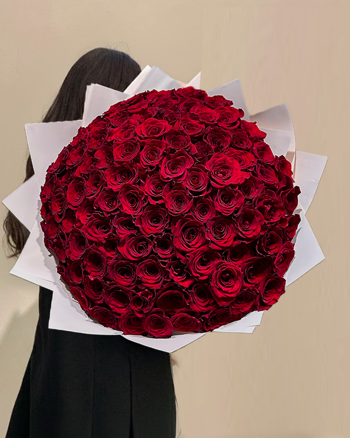 100 Reasons to Love  (100 Red Roses)