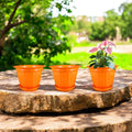 12 Inch Jasmine Planters with Drip Tray Home & Garden Decor (Set of 3)