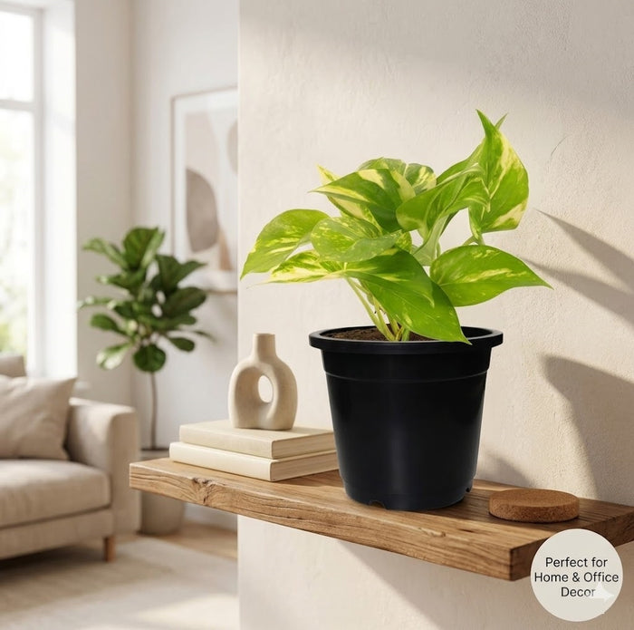 5.5 Inch Nursery Planter UV Resistant, Lightweight Black Pots (Set of 20)