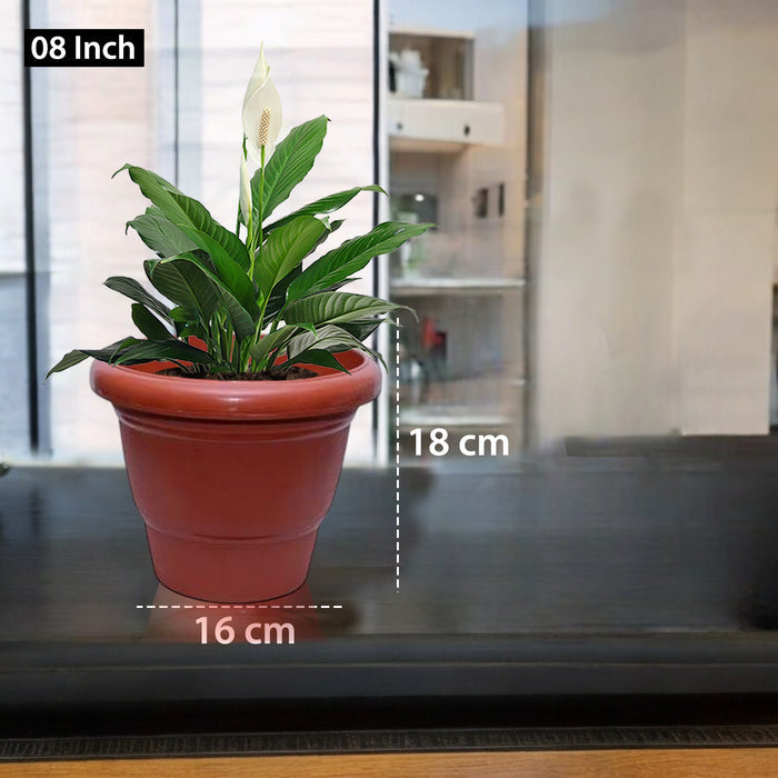 8 Inch Deluxe Round Brown Planter Set of 12 UV Resistant, Lightweight Plastic Pots for Indoor & Outdoor Plants