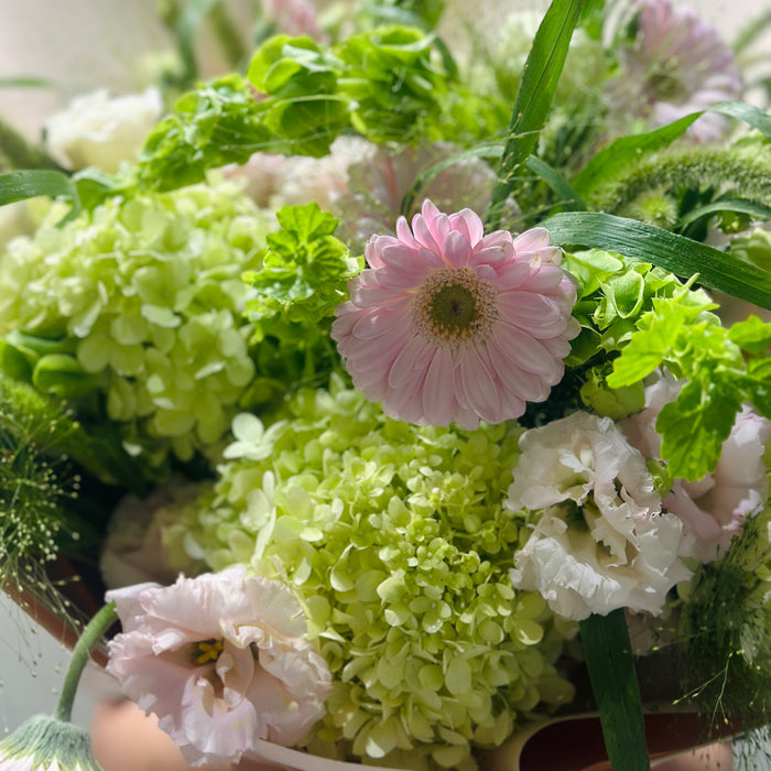 Enchanted Pastels