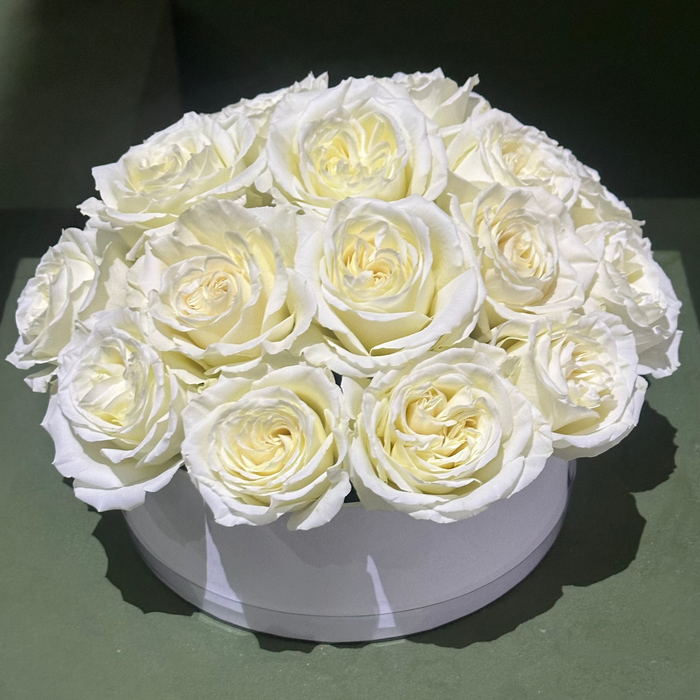 Round White Roses Box