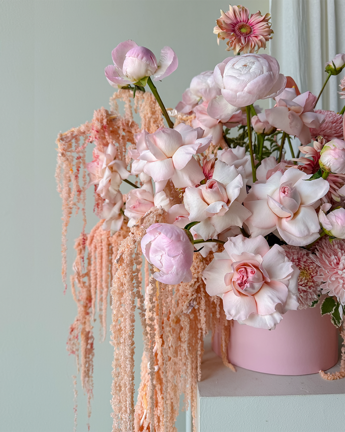 Blush Symphony