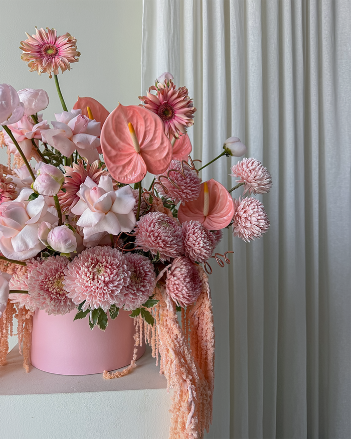 Blush Symphony