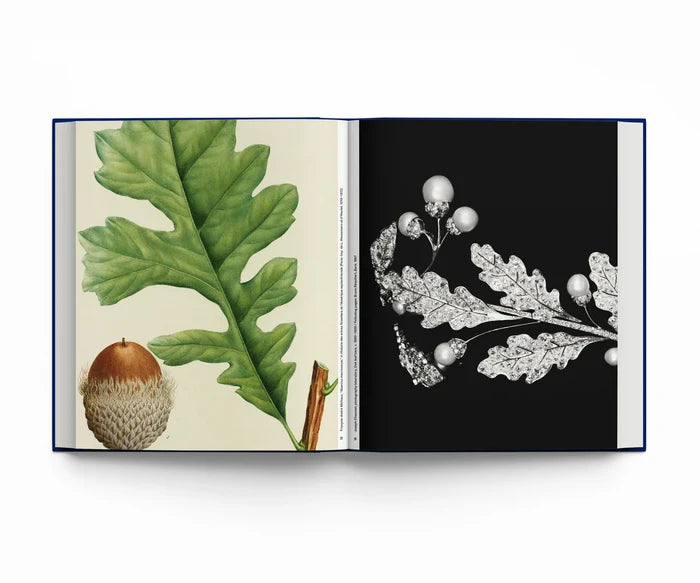 BOTANICAL: OBSERVING BEAUTY — by Filipa Ramos, Emanuele Coccia, Alice Thomine-Berrada, Estelle Zhong Mengual