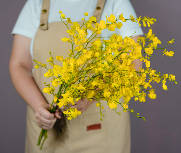 Bunch of Oncidium