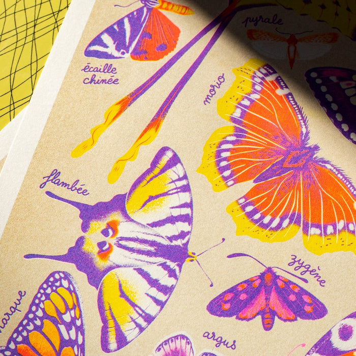 BUTTERFLIES, 29,7 x 42 cm — by Manon Bucciarelli