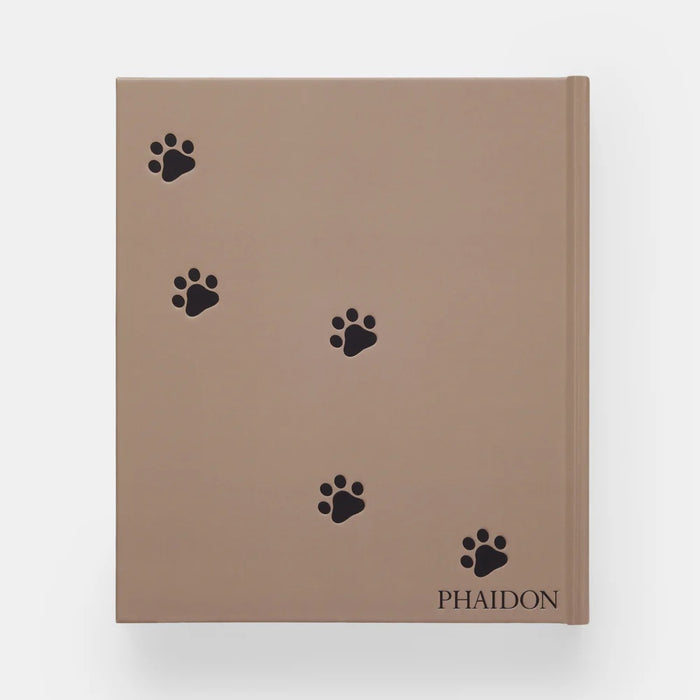 CAT — by Hannah Shaw and Leïla Jarbouai
