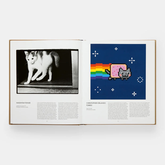 CAT — by Hannah Shaw and Leïla Jarbouai