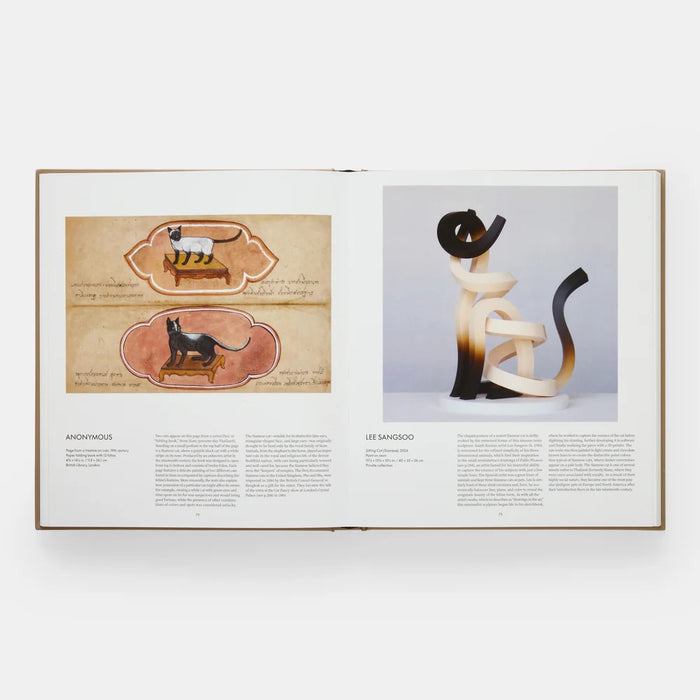 CAT — by Hannah Shaw and Leïla Jarbouai