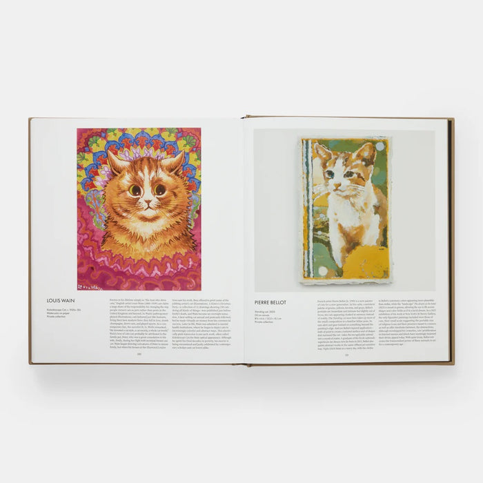 CAT — by Hannah Shaw and Leïla Jarbouai