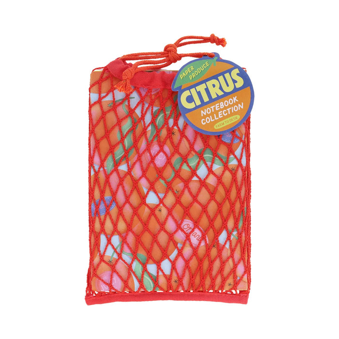 CITRUS NOTEBOOK COLLECTION — by Chronicle Books