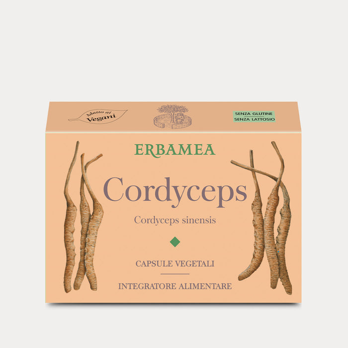Cordyceps