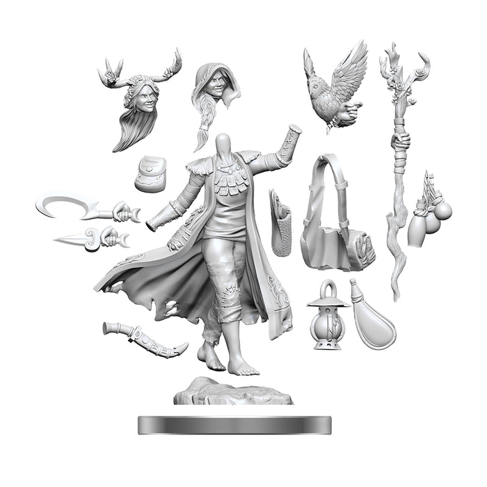 D&D Frameworks Unpainted Human Druid Female