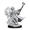 D&D Frameworks Unpainted Human Wizard Male