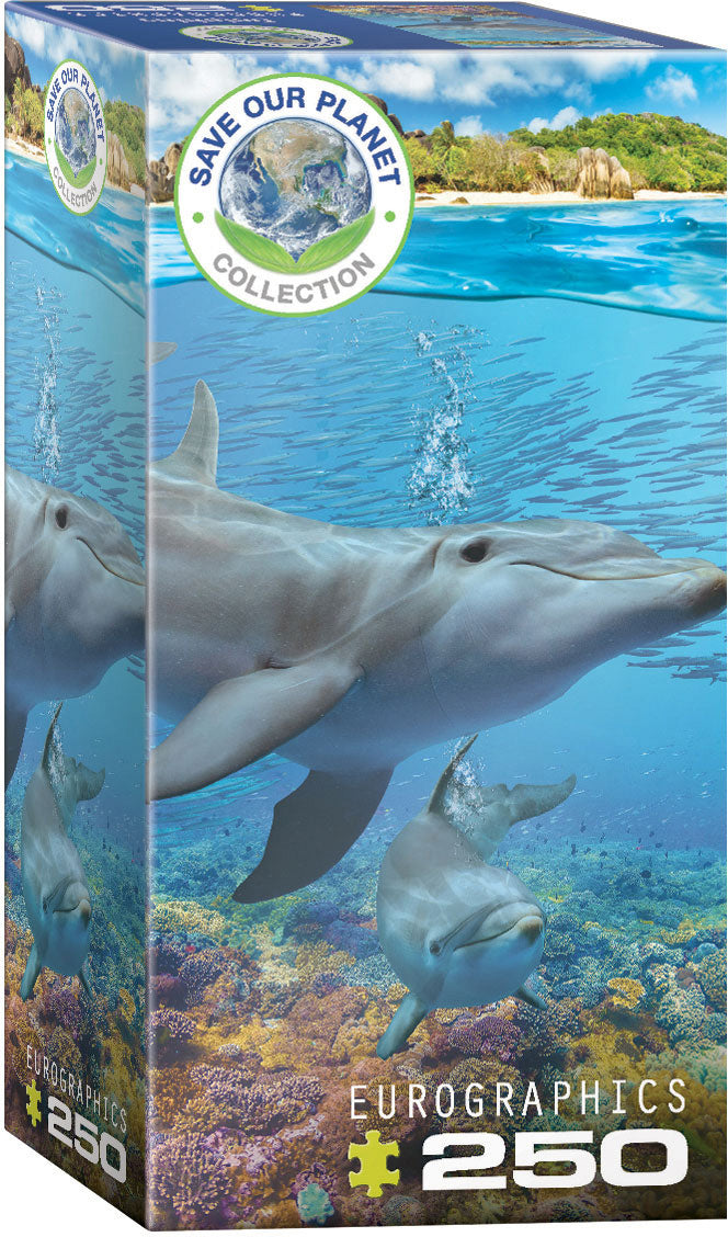 Dolphins