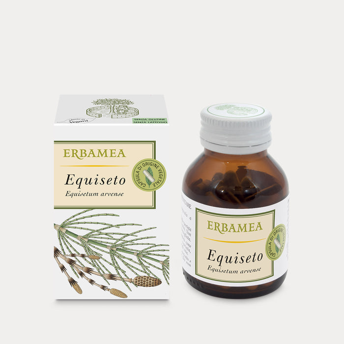 Equiseto