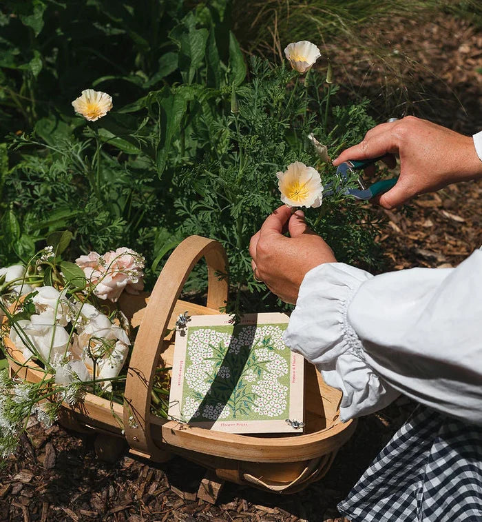 FLOWER PRESS - Forget Me Not — by Studio Wald