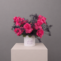 Fuchsia Burst