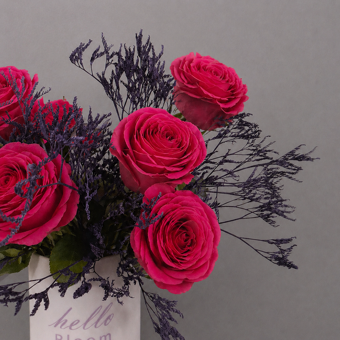 Fuchsia Burst