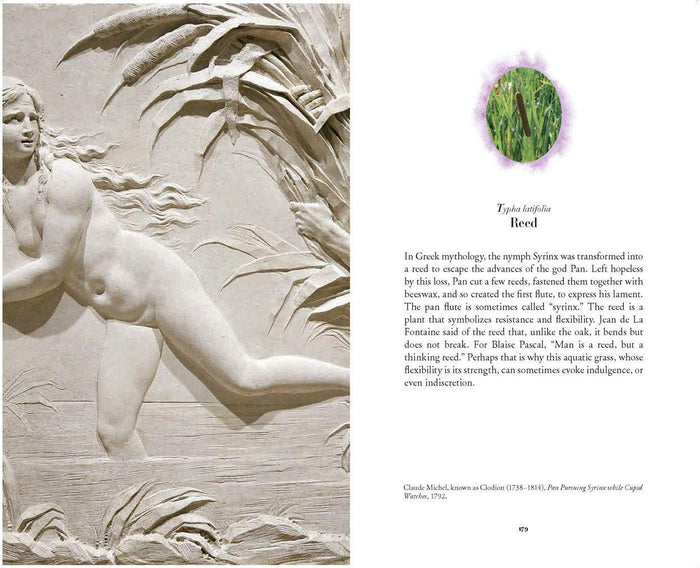 JEAN-MICHEL OTHONIEL: THE SECRET LANGUAGE OF FLOWERS — by Jean-Michel Othoniel