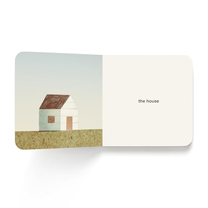 NOW I SEE SUMMER — by Mac Barnett, Jon Klassen