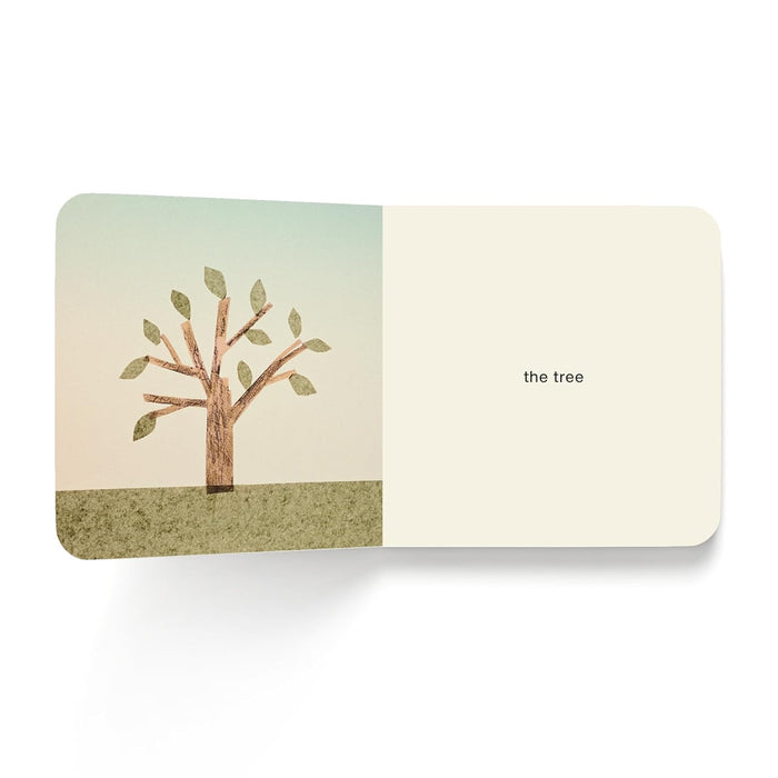 NOW I SEE SUMMER — by Mac Barnett, Jon Klassen