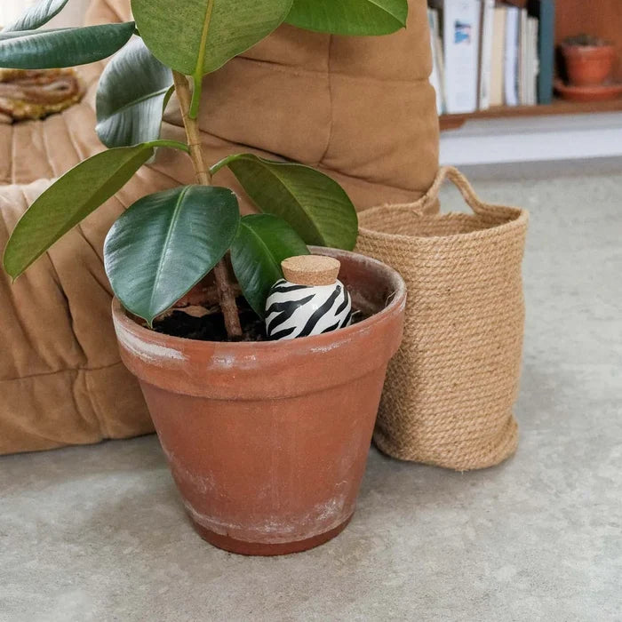 OLLA, Watering Spikes - Zebra — by Pepin