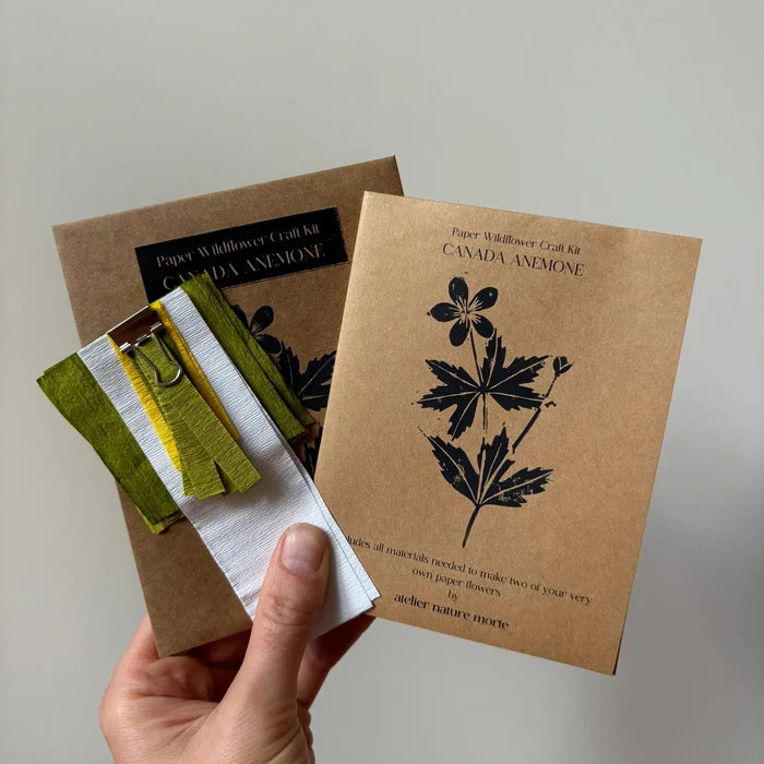PAPER FLOWER, CRAFT KIT - Canada Anemone — by Atelier Nature Morte