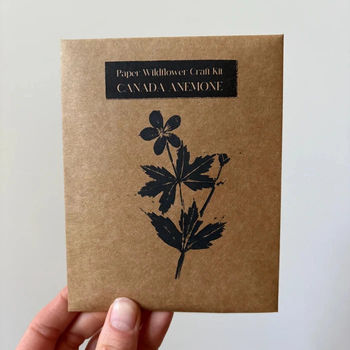 PAPER FLOWER, CRAFT KIT - Canada Anemone — by Atelier Nature Morte