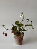 PAPER FLOWERS - Fragaria vesca — by Atelier Nature Morte