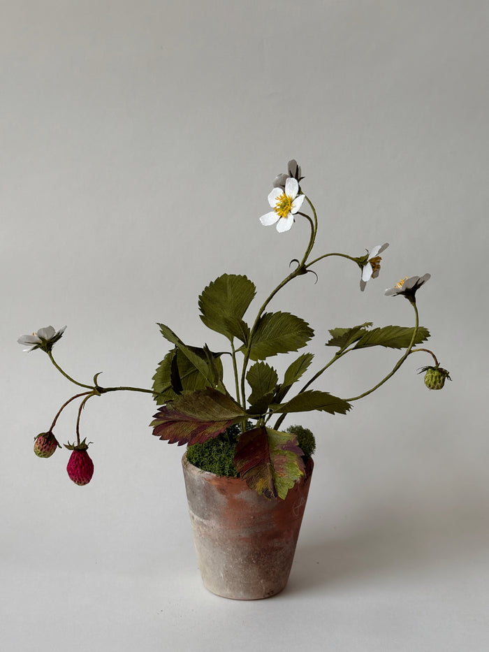PAPER FLOWERS - Fragaria vesca — by Atelier Nature Morte