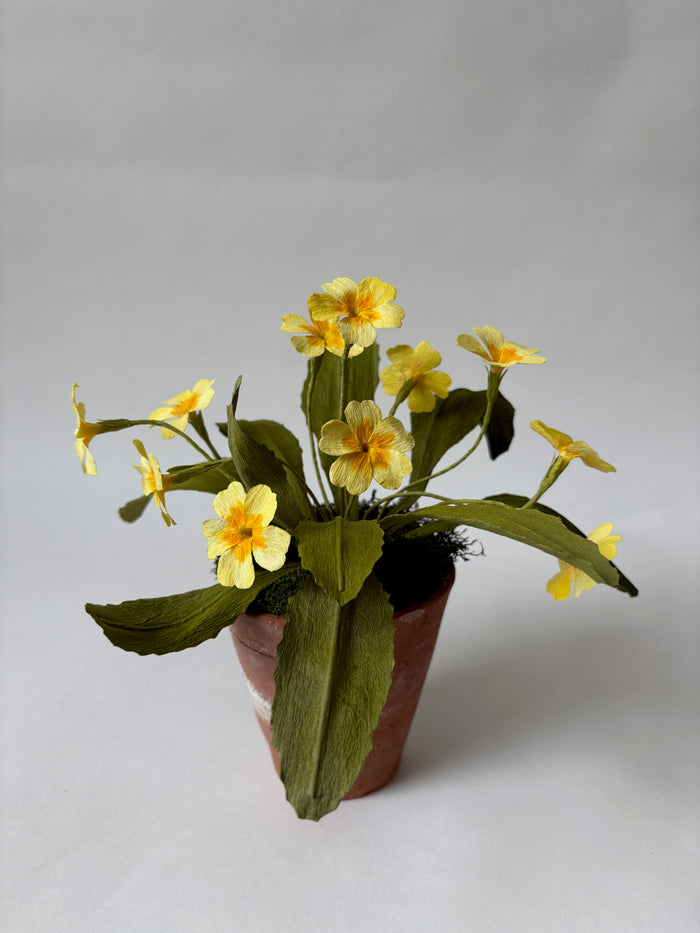 PAPER FLOWERS - Primula vulgaris — by Atelier Nature Morte