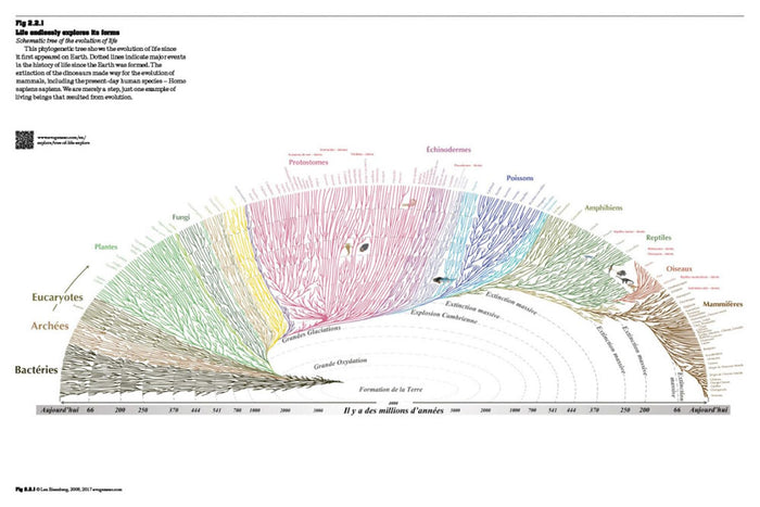 PLANETARY GARDENER: Life First — by Gilles Clément and Coloco