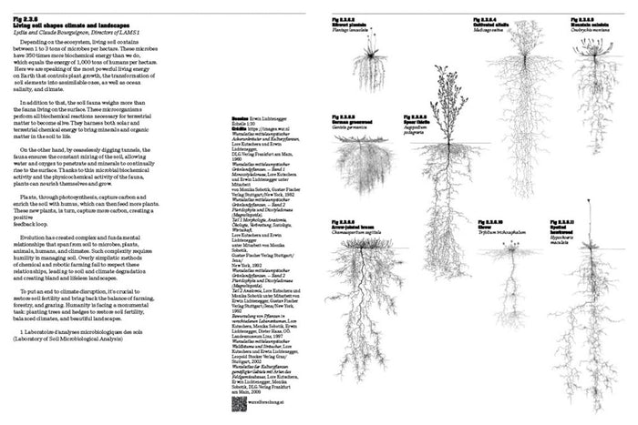 PLANETARY GARDENER: Life First — by Gilles Clément and Coloco