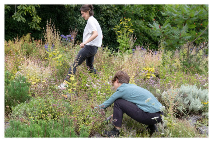 PLANETARY GARDENER: Life First — by Gilles Clément and Coloco