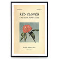 "RED CLOVER FOR HAY, SILAGE, PASTURE AND SEED (1953)", (multiple sizes)
