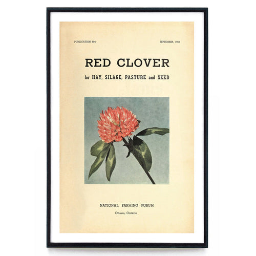 "RED CLOVER FOR HAY, SILAGE, PASTURE AND SEED (1953)", (multiple sizes)