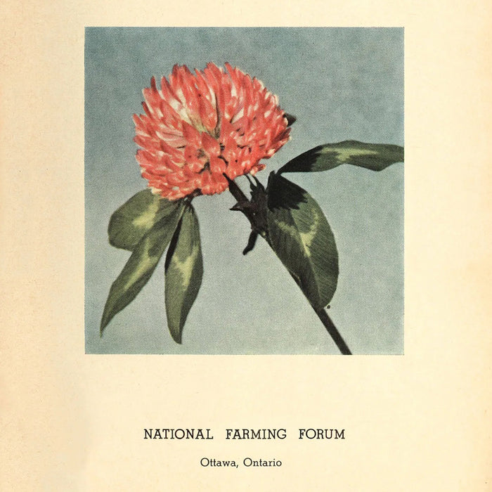 "RED CLOVER FOR HAY, SILAGE, PASTURE AND SEED (1953)", (multiple sizes)