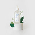 ROOM SPRAY, Mint + Rosemary — by Flambette