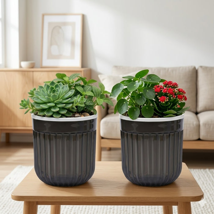 8" Transparent Self-Watering Seoul Pots (White, Set of 2) – Sleek Hydroponic Planters