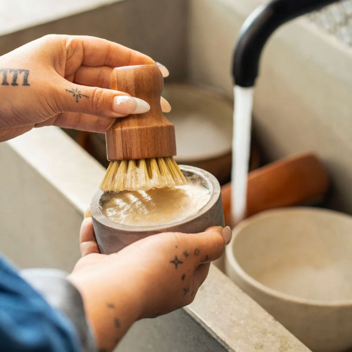 SOLID DISH SOAP REFILL — by La Belle Excuse