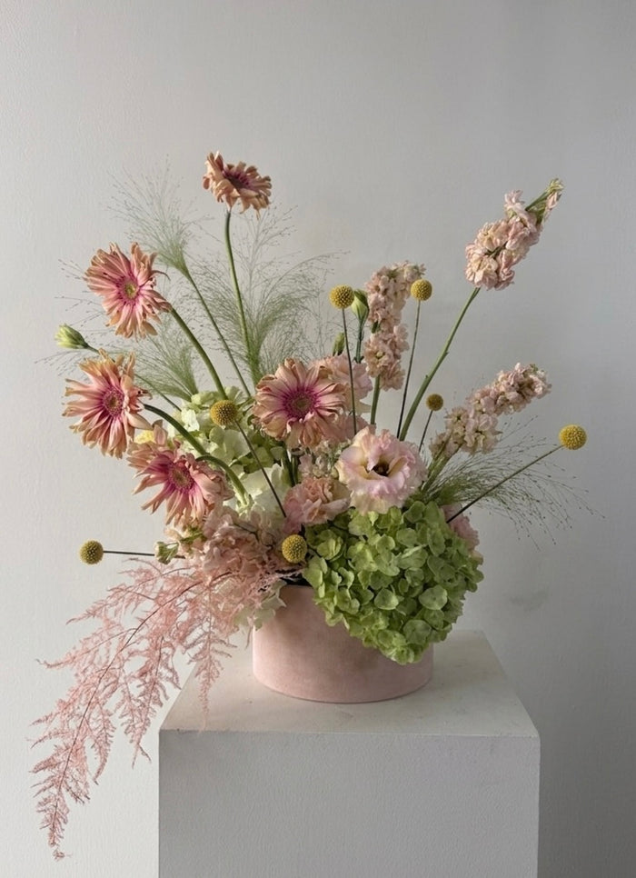 The Blush Gallery