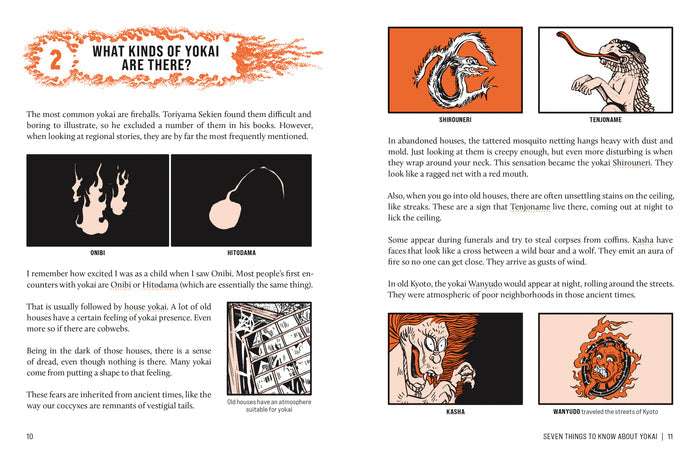 THE DEFINITIVE YOKAI FIELD GUIDE — by Shigeru Mizuki