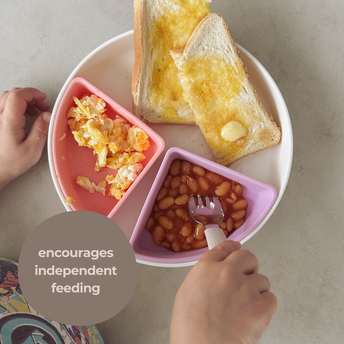 The Kids Everything Plate - Limited Edition