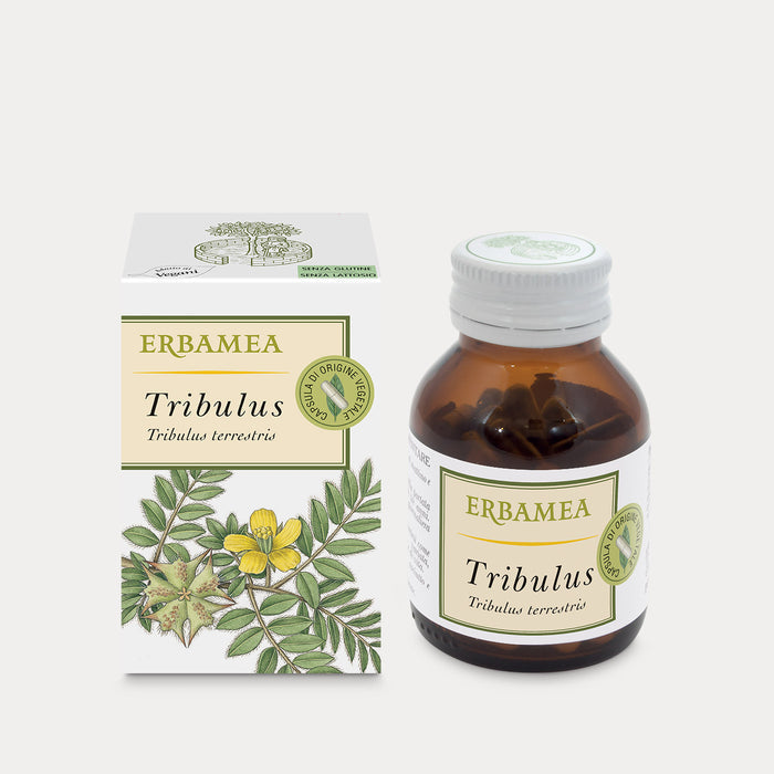 Tribulus