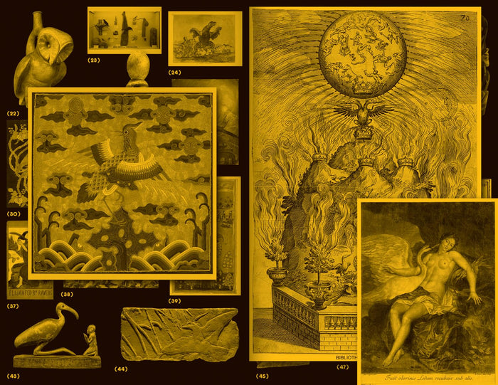 WITH A BIRD: A READER ON AVIAN KINSHIP — by Marjolein Van Der Loo