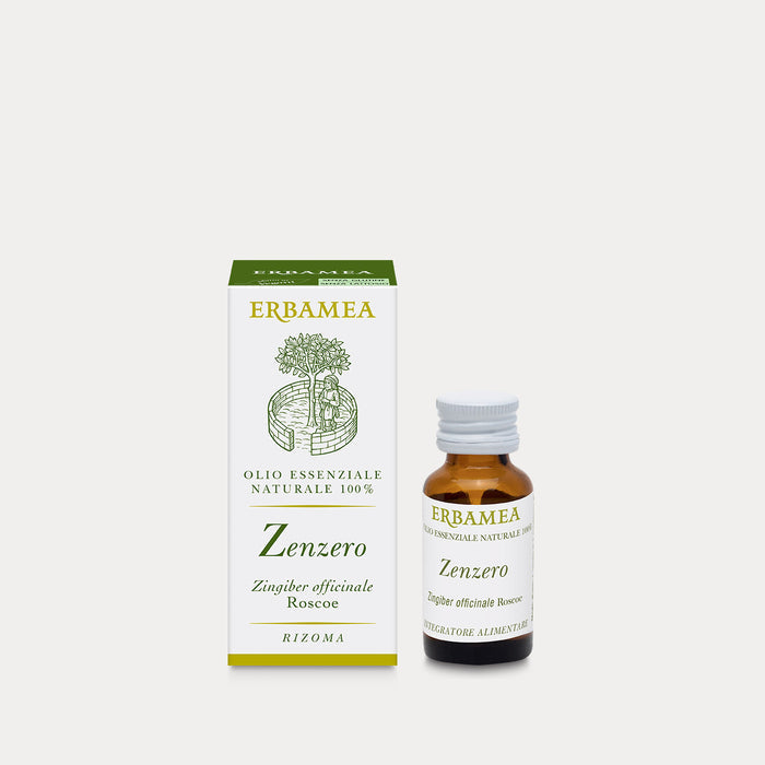 Zenzero Olio Essenziale