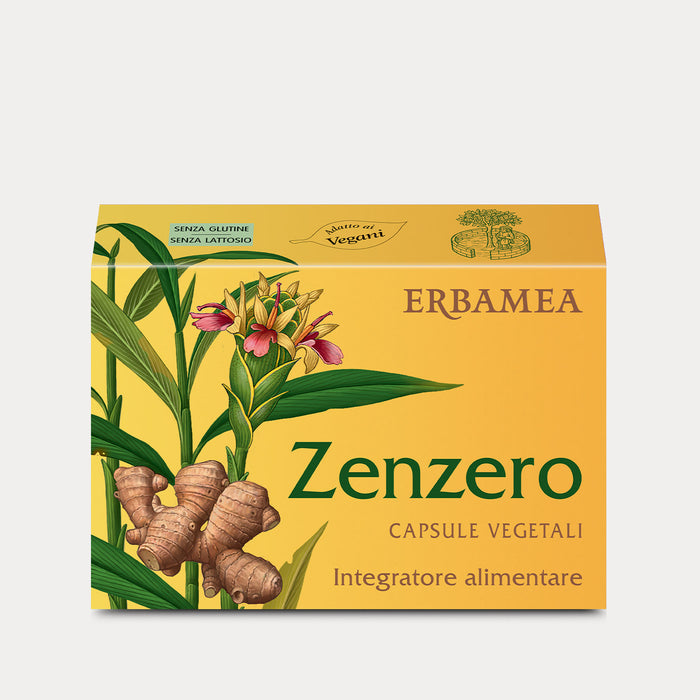 Zenzero