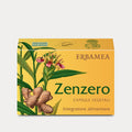 Zenzero